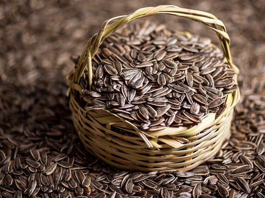 ÇerezUp Hakkımızda Görsel 2